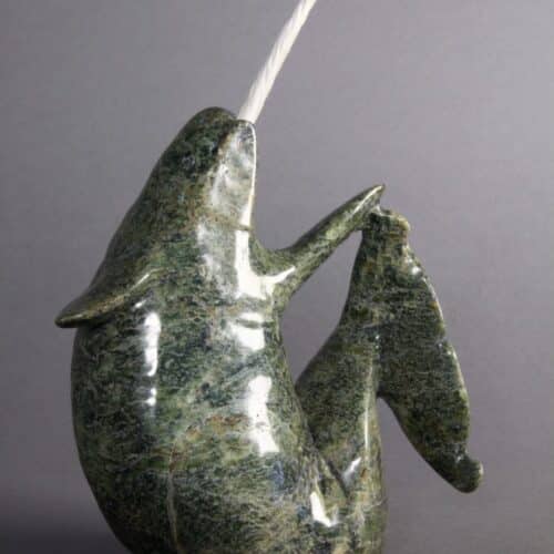 Kellypalik Etidloie-Narwhal