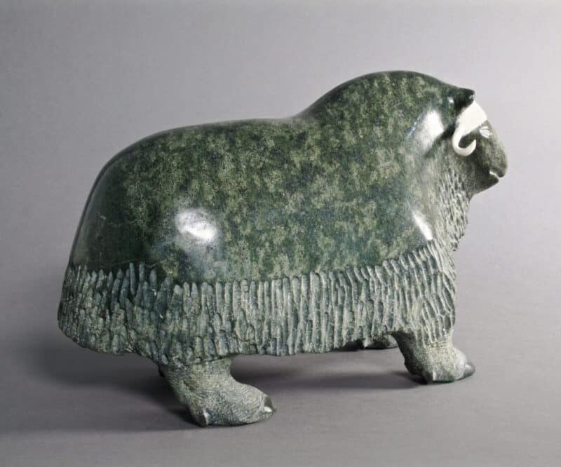 Newgaleak Qimirpik-Musk Ox