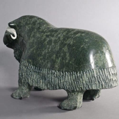 Newgaleak Qimirpik-Musk Ox