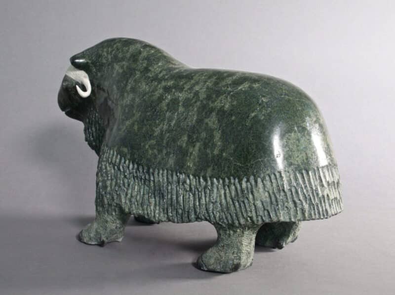 Newgaleak Qimirpik-Musk Ox