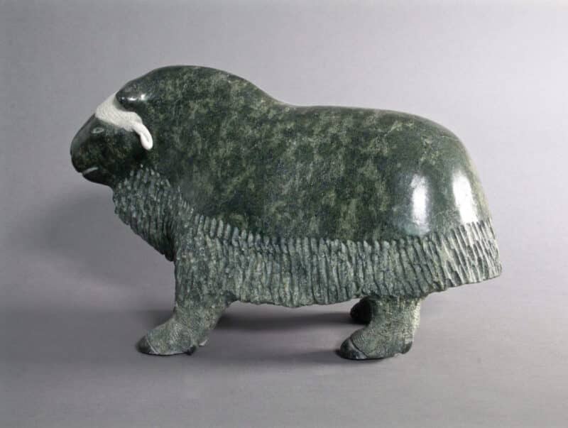 Newgaleak Qimirpik-Musk Ox