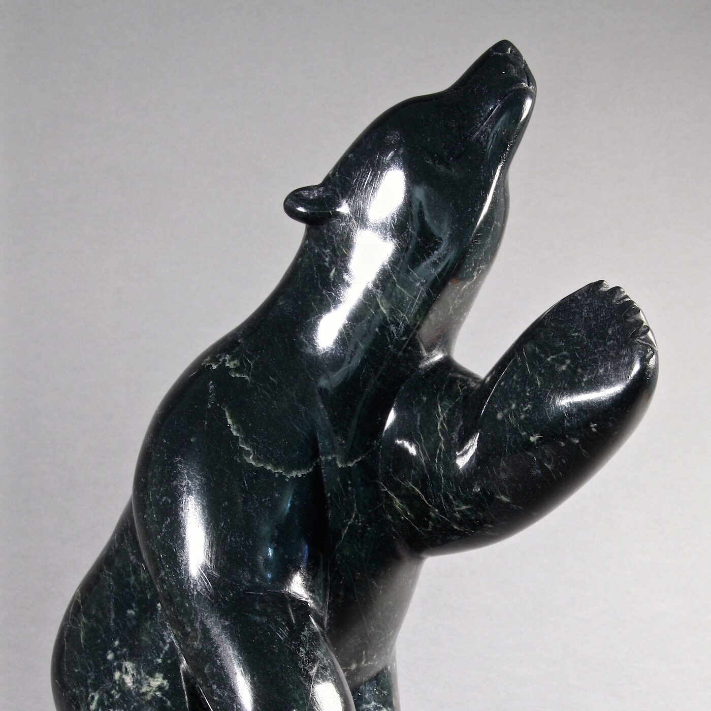 Pudlalik Shaa-Ours polaire