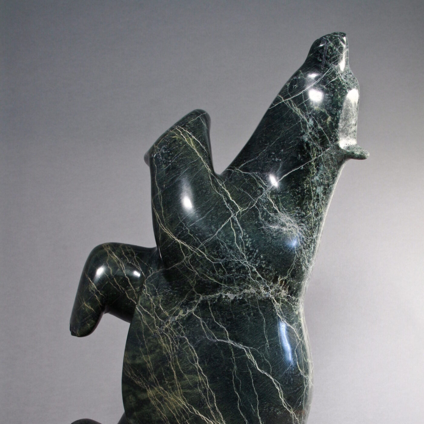 Ours Polaire-Ashevak Adla