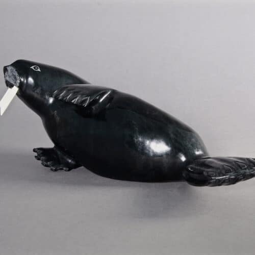 Lyta Josephie-Walrus