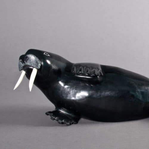 Lyta Josephie-Walrus