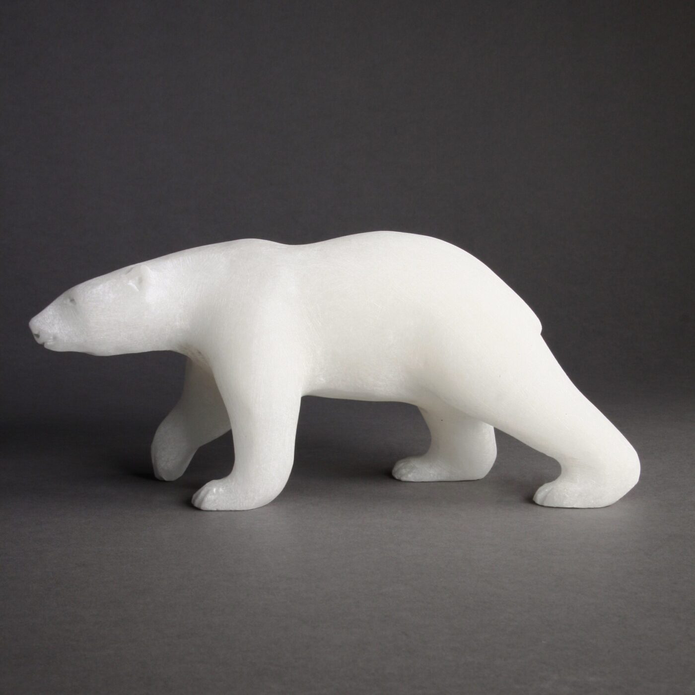 Ours marchant par Bill Nasogaluak
