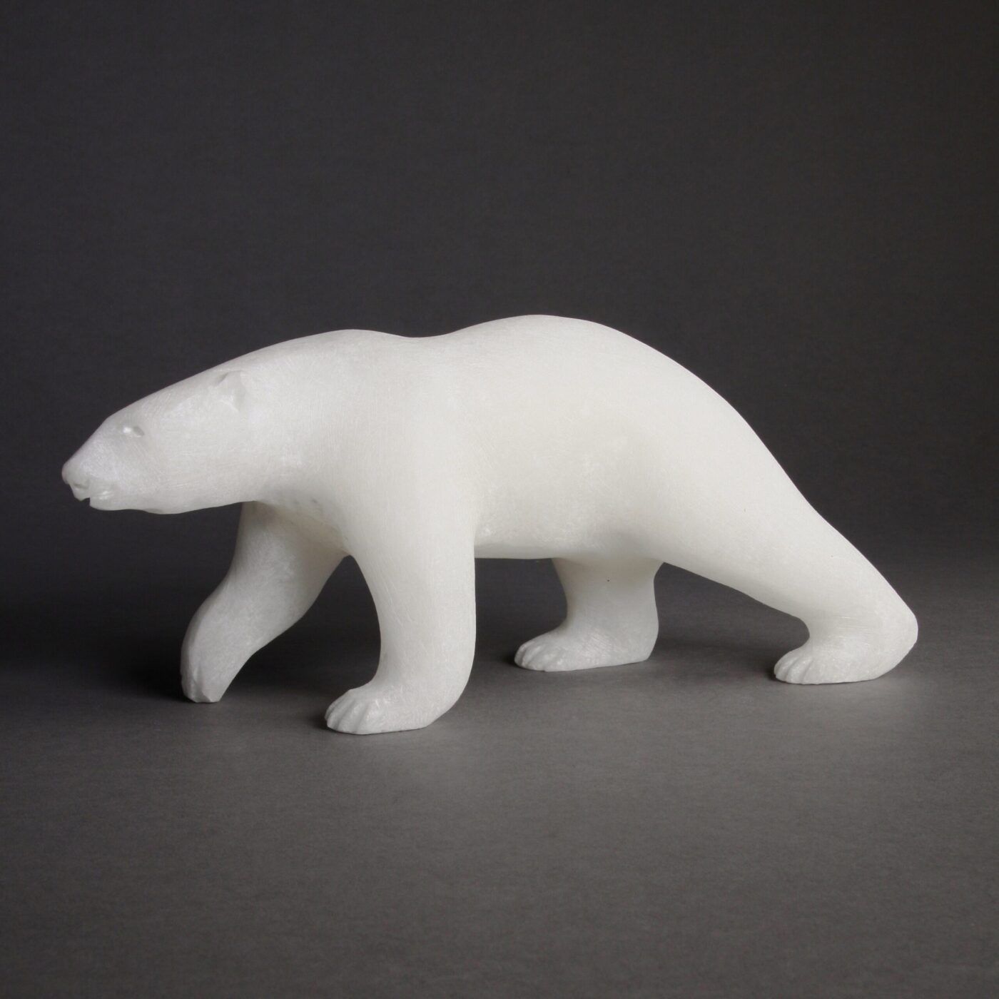 Ours marchant par Bill Nasogaluak