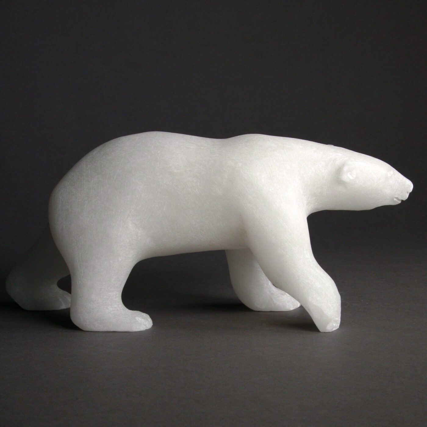 Ours marchant par Bill Nasogaluak