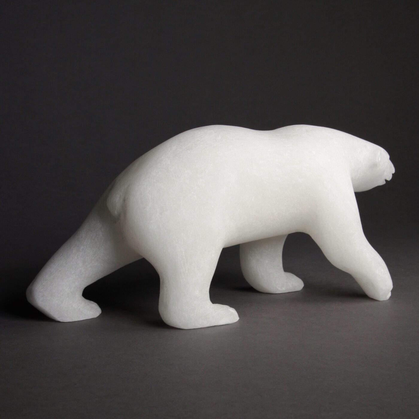 Ours marchant par Bill Nasogaluak
