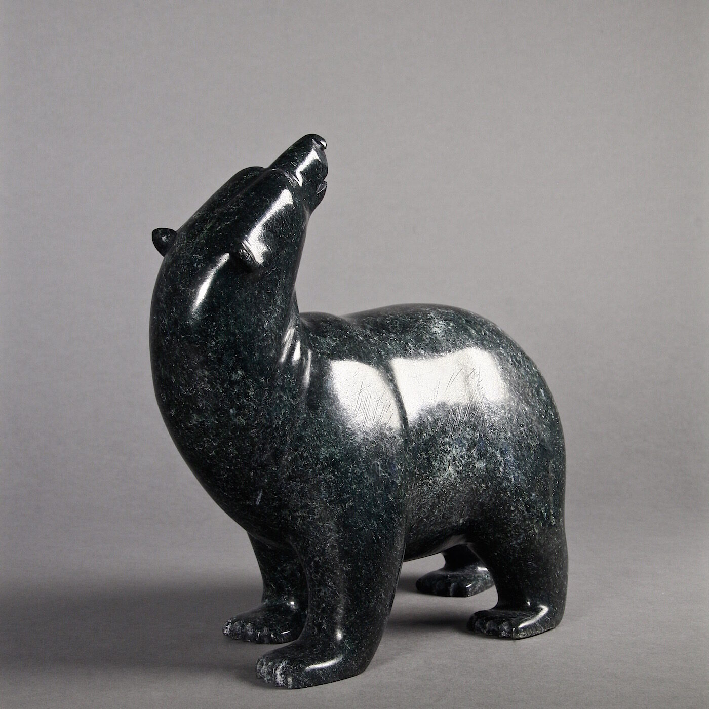 Ours marchant-Tim Pee
