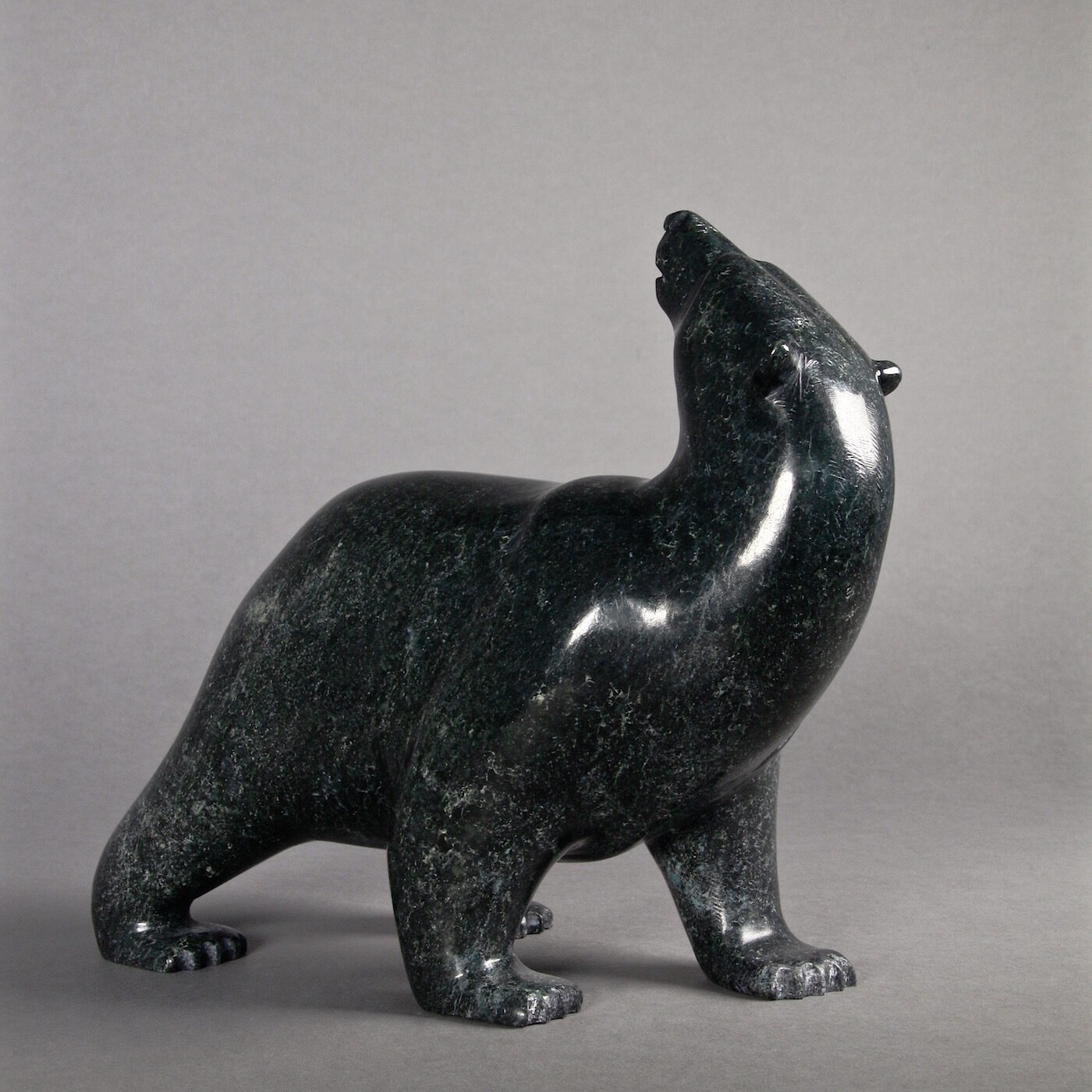 Ours marchant-Tim Pee