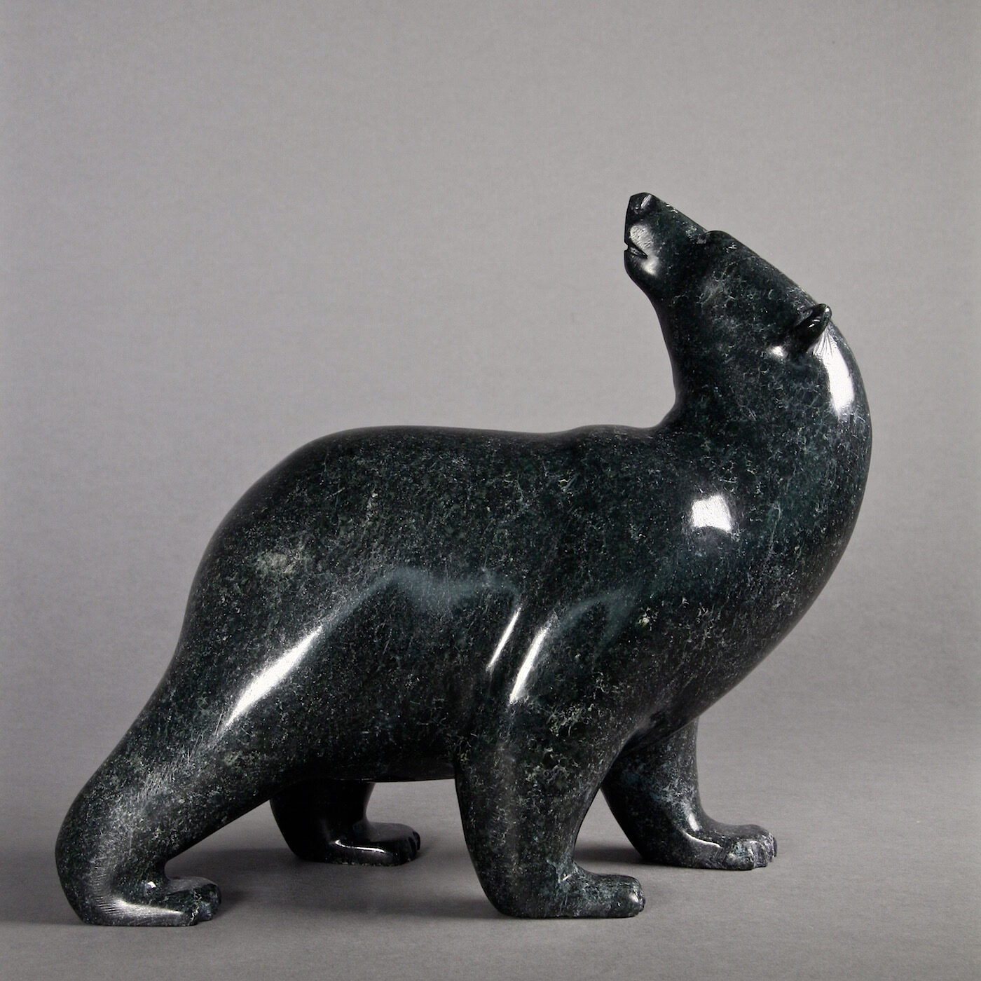 Ours marchant-Tim Pee