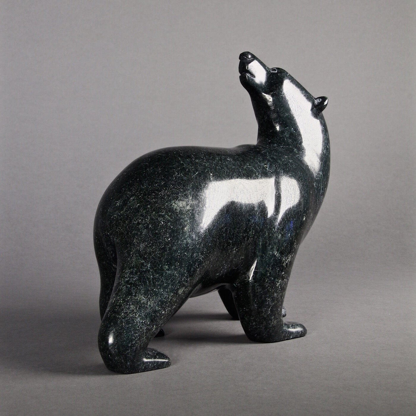 Ours marchant-Tim Pee