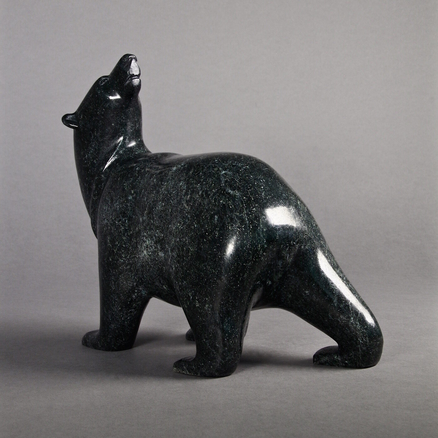 Ours marchant-Tim Pee