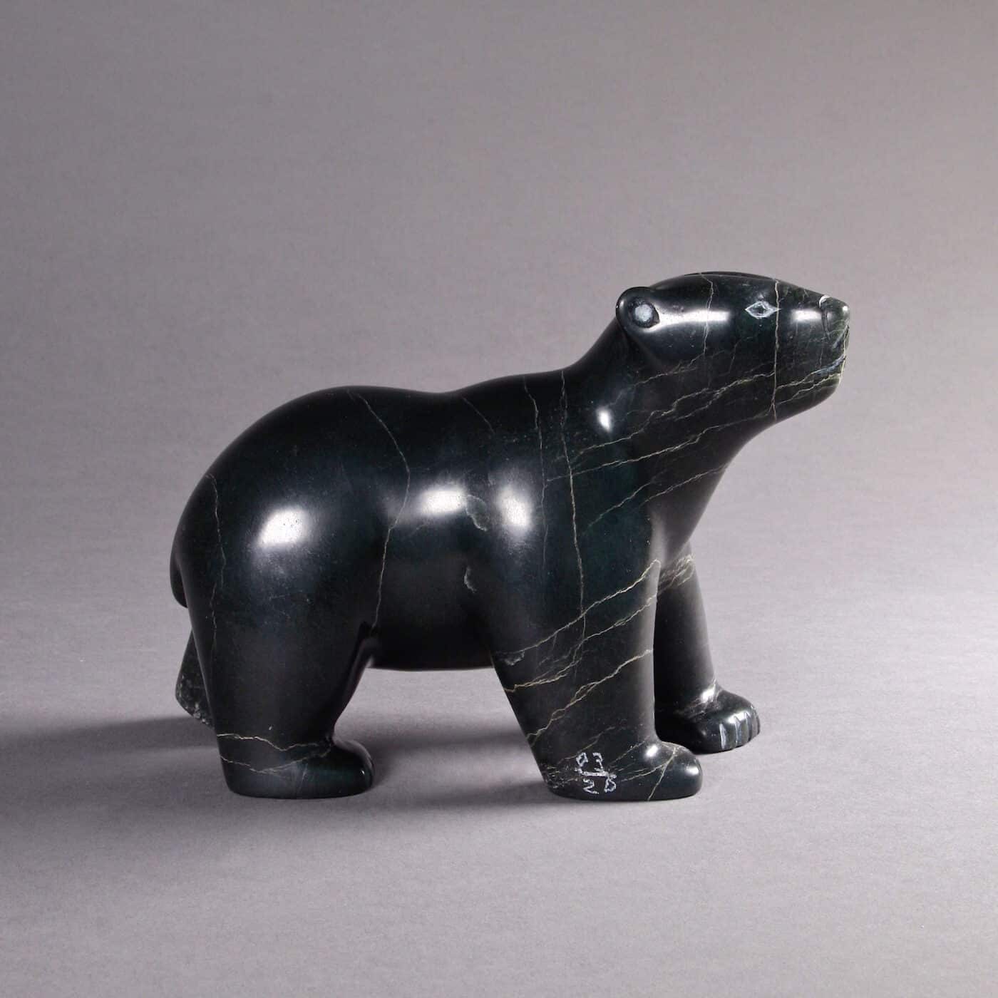 Ours marchant par Taqialuk Nuna