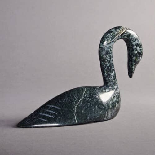 Swan by Tony Curley