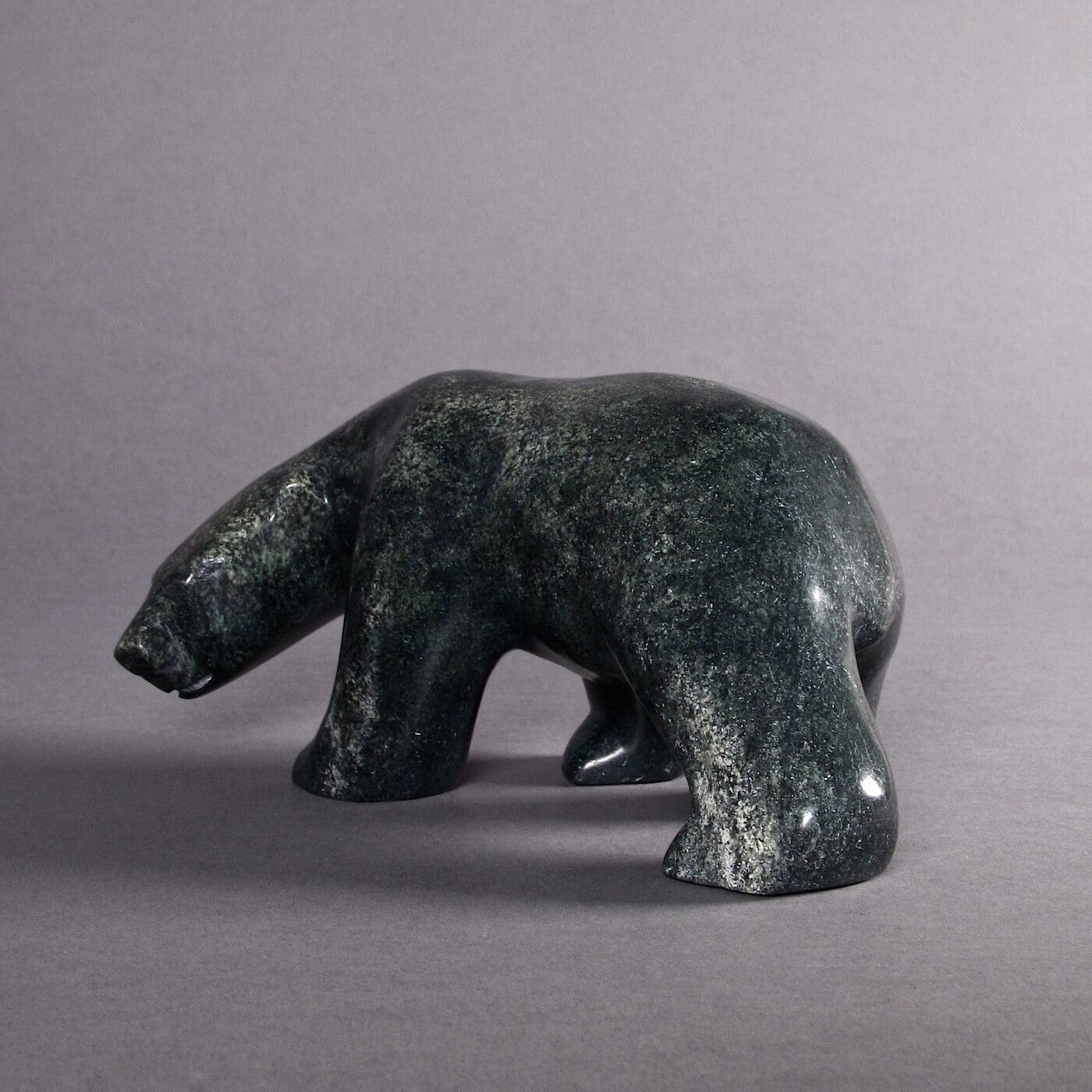 Ours polaire par Tony Oqutaq