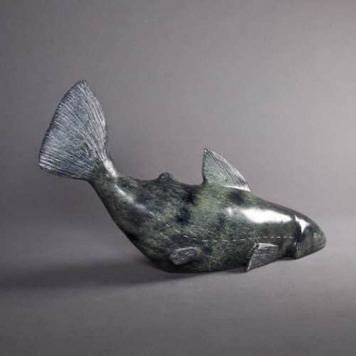 Fish by Pits Kilabuk
