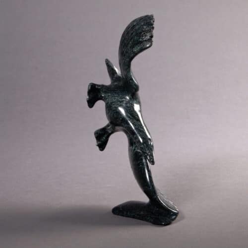 Oiseau par Kelly Etidloie