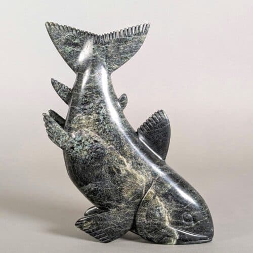 Poisson