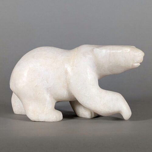 Ours polaire marchant