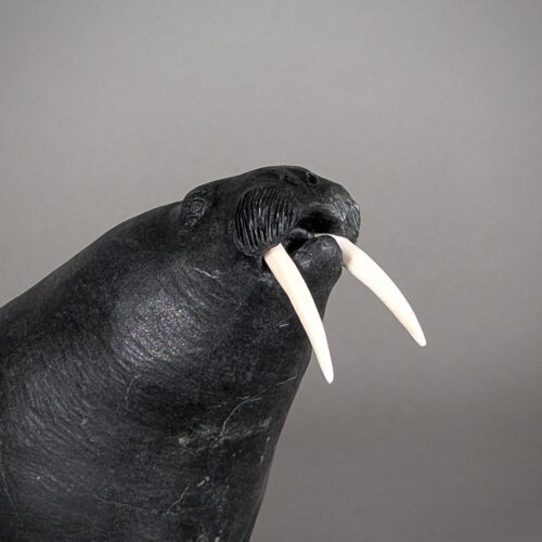 Paul Malliki Male Walrus Sculpture Inuit Art Canada