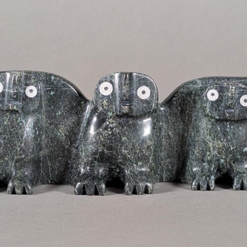 Famille de chouettes