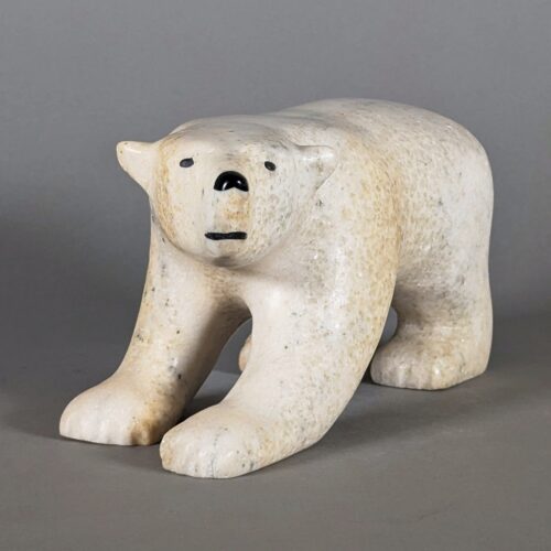 Ours polaire marchant