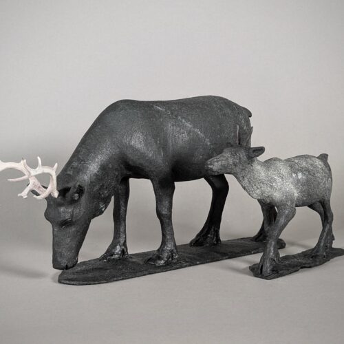 Caribou and her calf