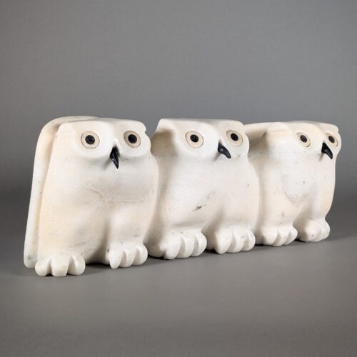 Family of Snowy Owls