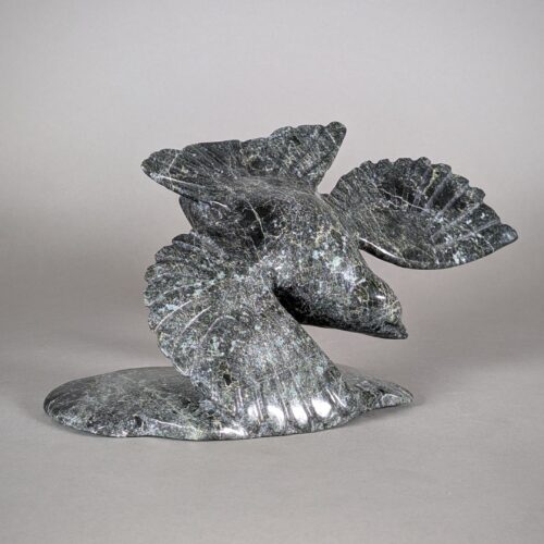 Oiseau