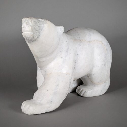 Walking Polar Bear