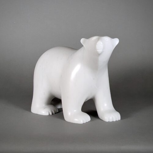 Walking Polar Bear