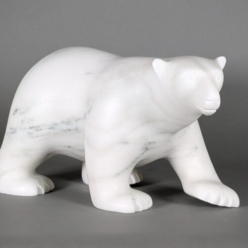 Ours polaire marchant