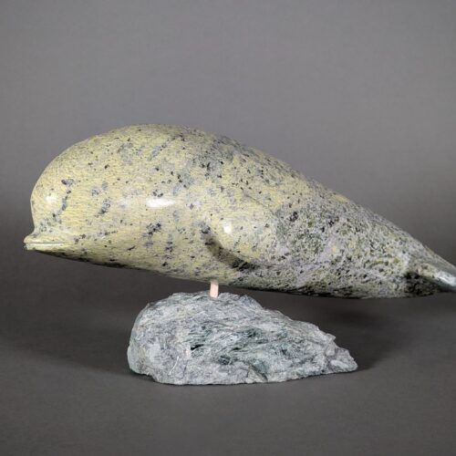 Whale