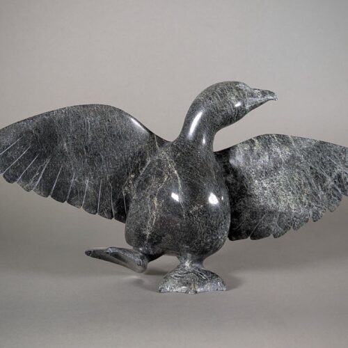 Dancing Bird