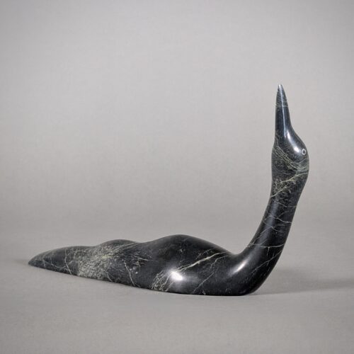 Loon