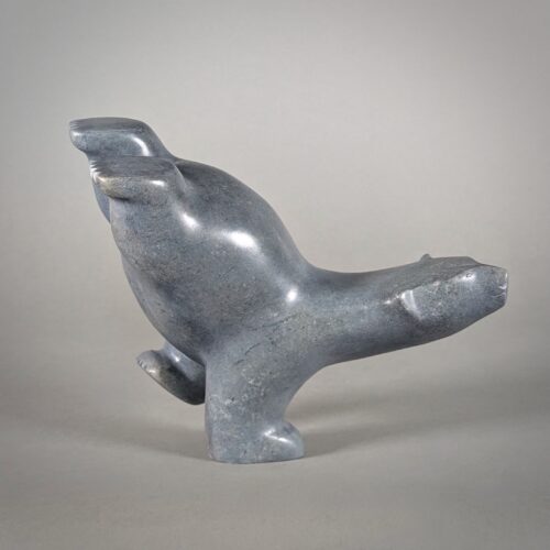 Diving Bear