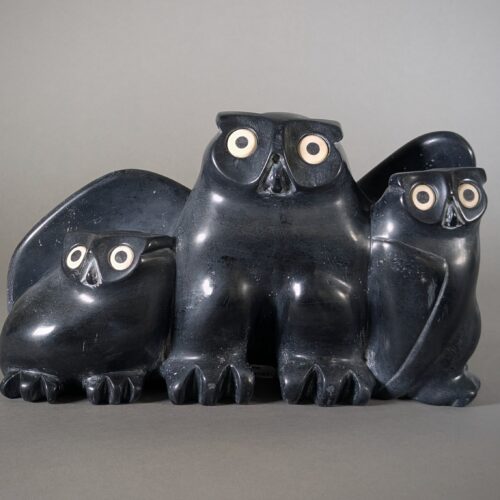 Owl with Two Owlets